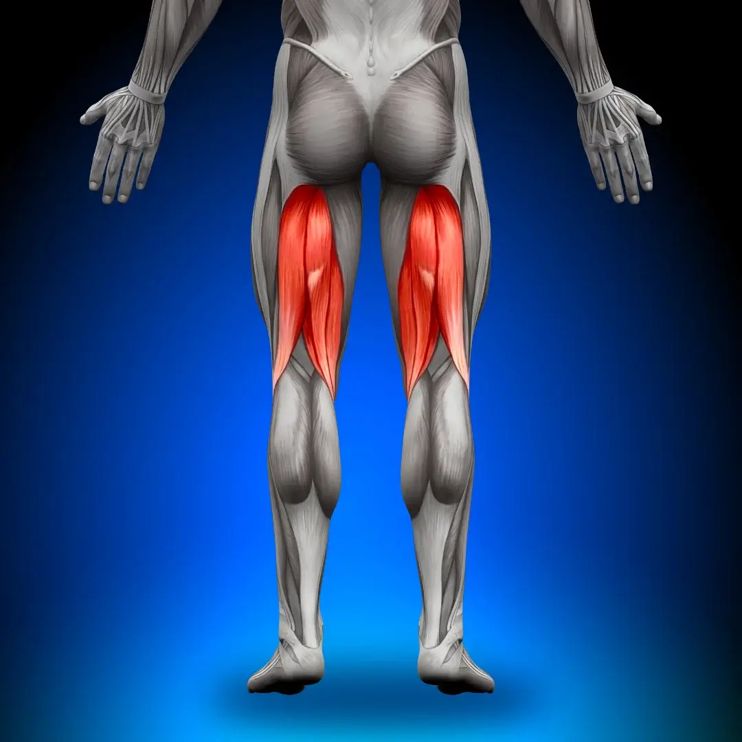 Remedial massage therapy for hamstring tear recovery