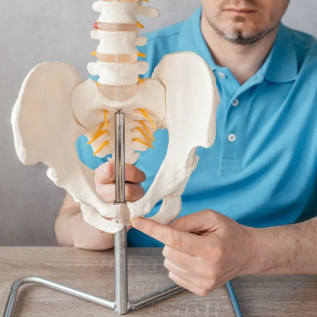 Chiropractic support for symphysis pubis dysfunction pain