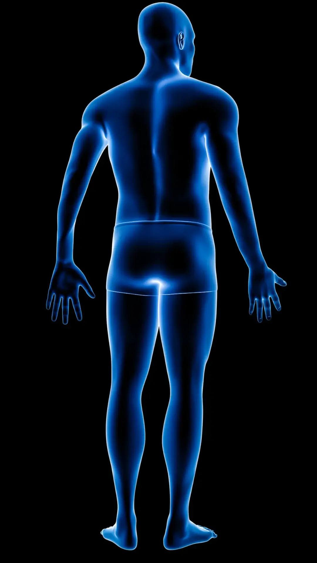 Posterior or back part of the body