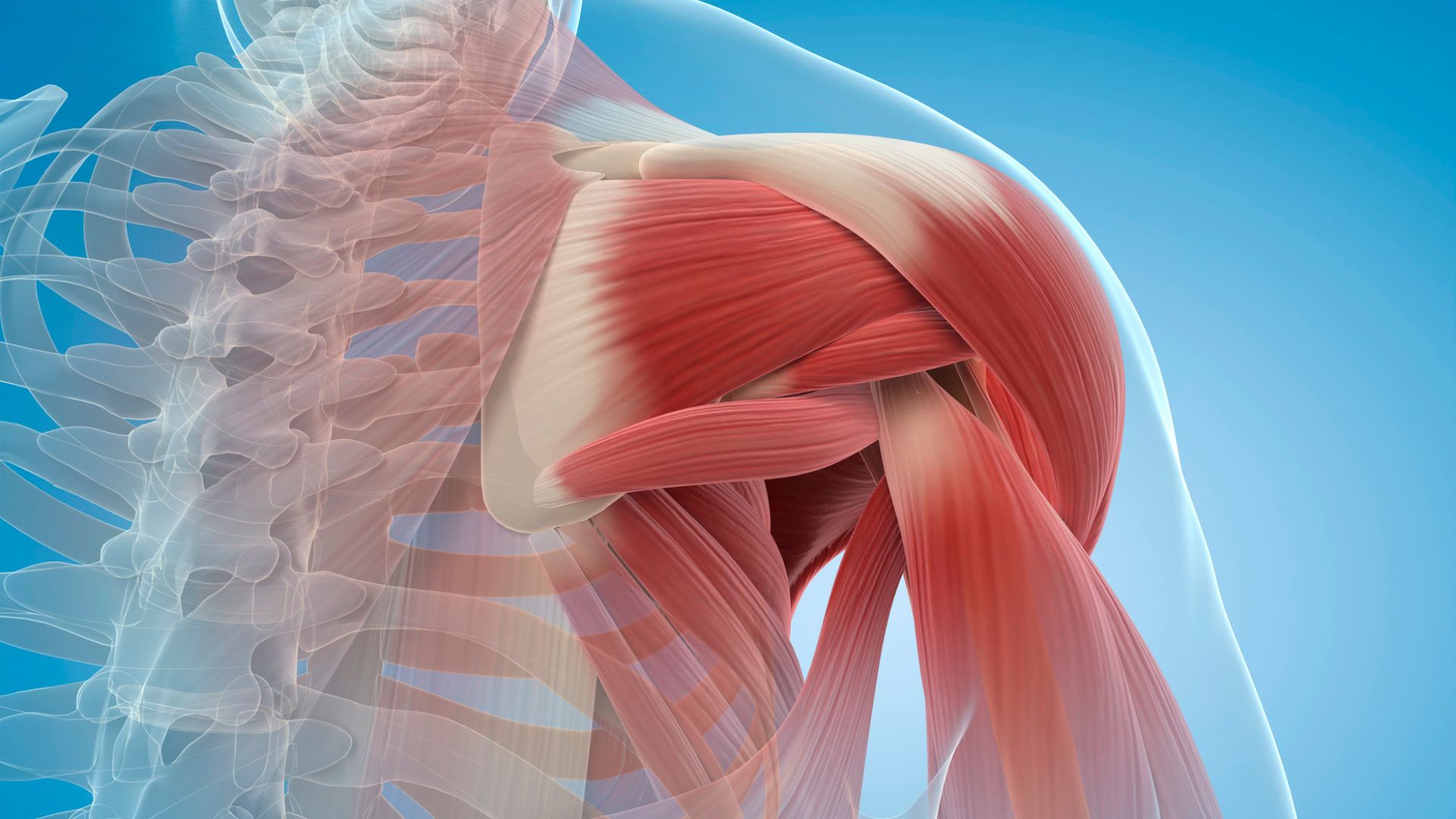 DOMS to Fast Recovery